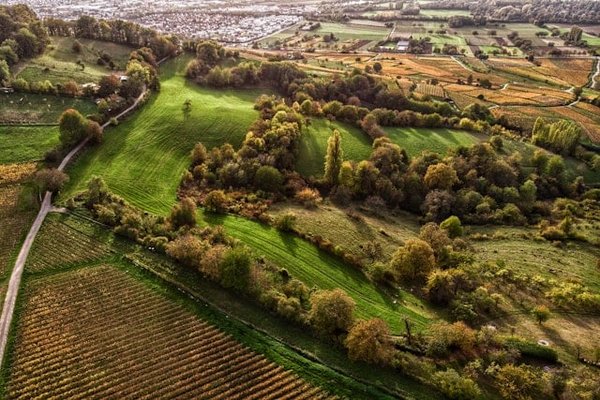 Quali applicazioni dei droni stanno trasformando il settore dell'agricoltura di precisione?